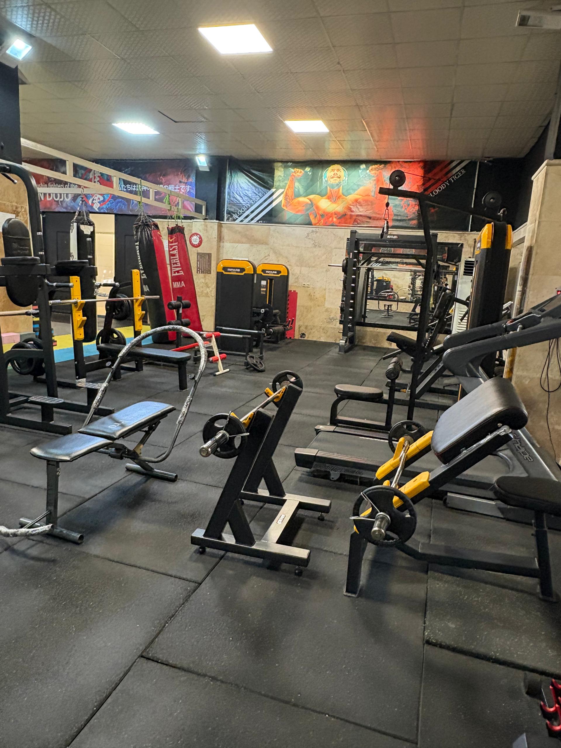 مجموعه ورزشی شهید محمود آبادی