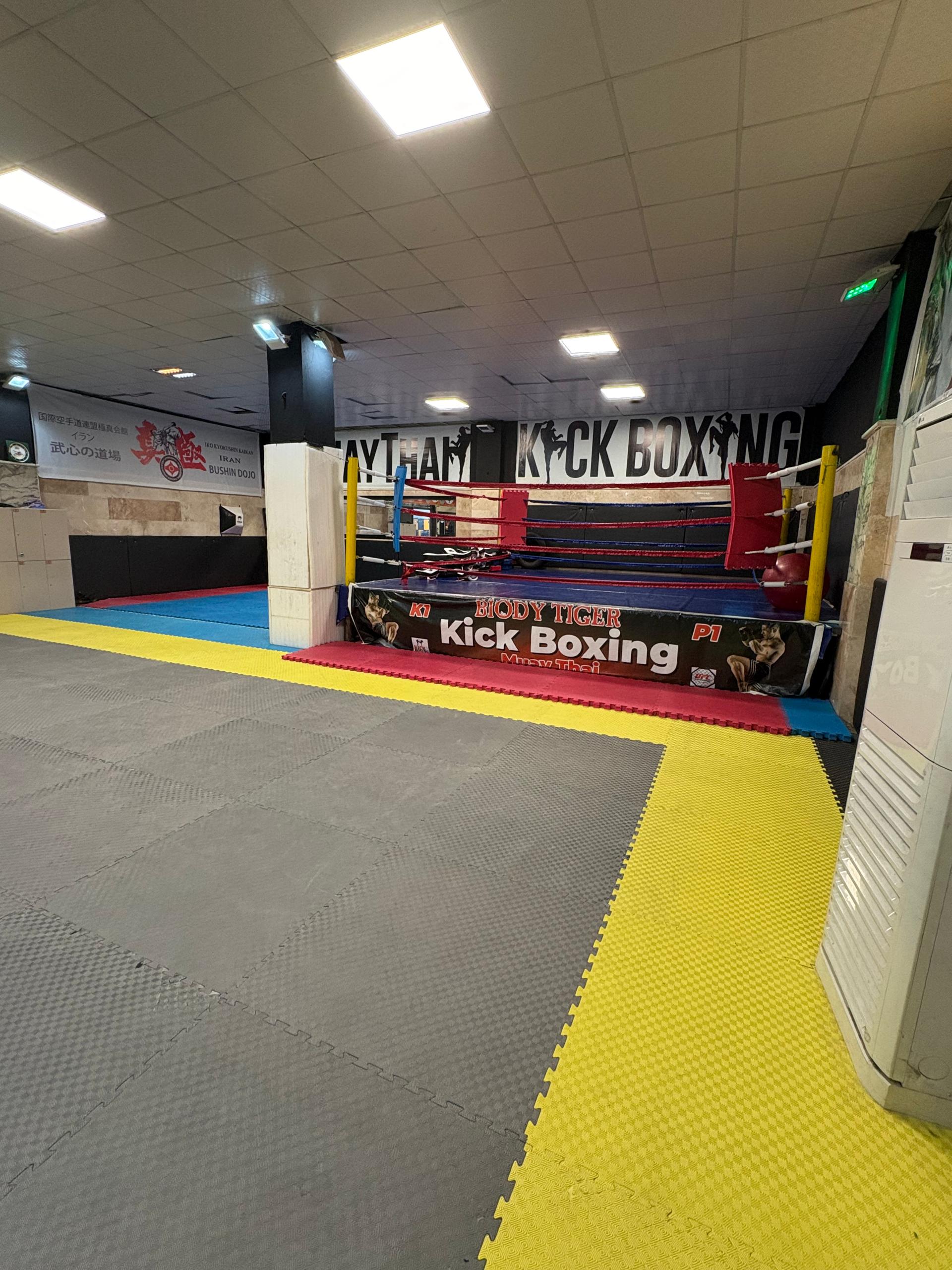 مجموعه ورزشی شهید محمود آبادی